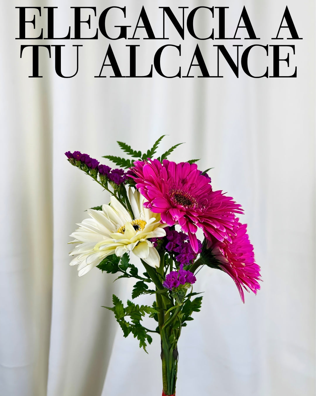 Elegancia a tu Alcance.