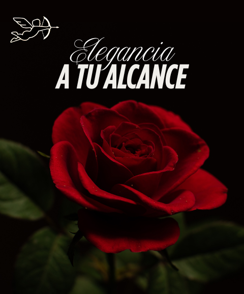 Elegancia a tu Alcance. 🎩