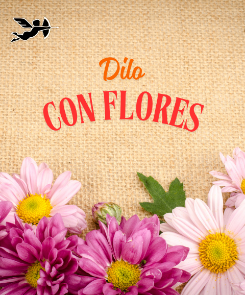 Dilo con Flores 💐