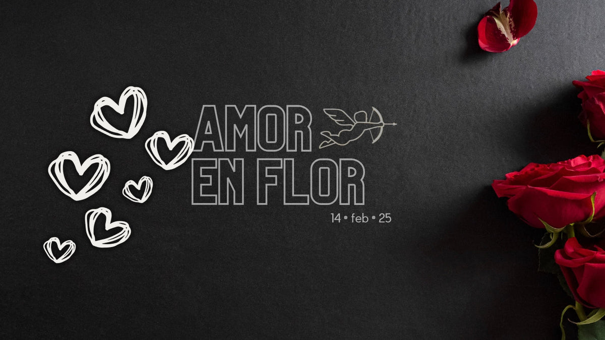 ROMANCE CON ROSAS 🌹