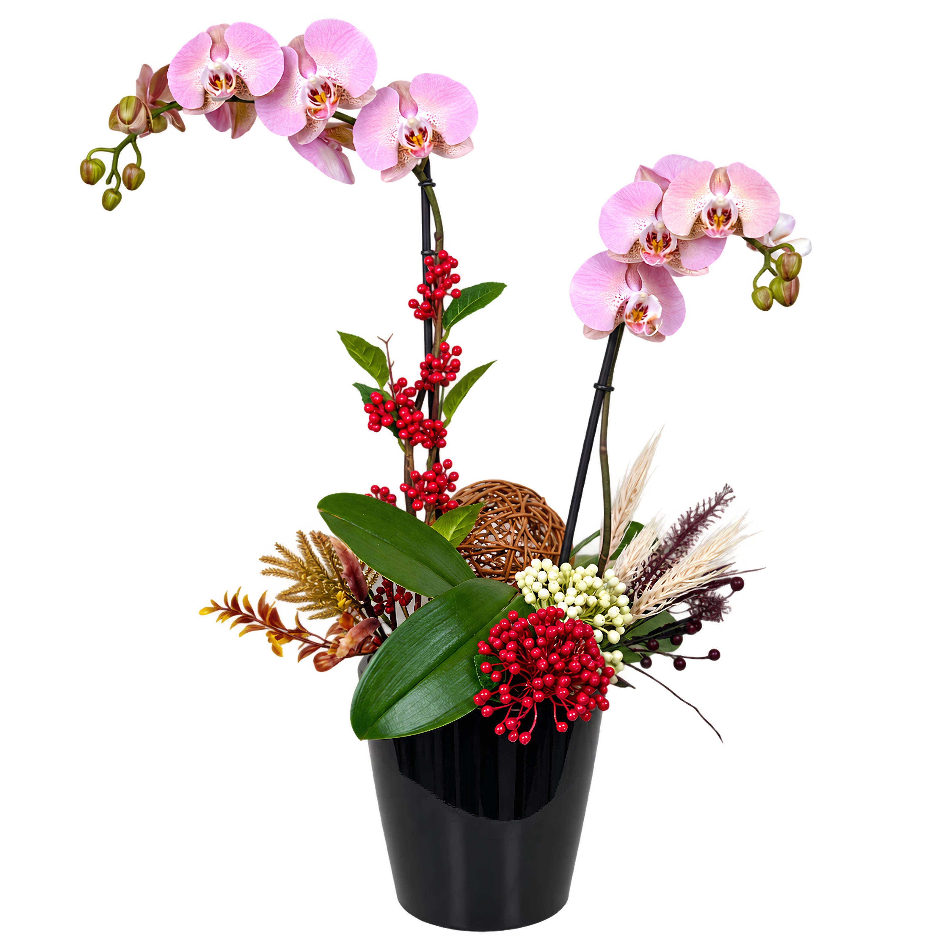 Orquidea doble cerámica negra