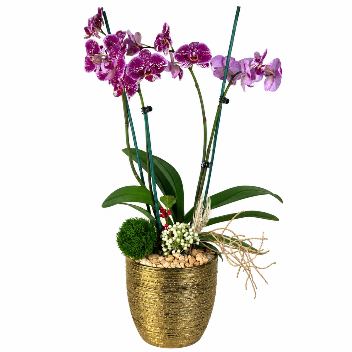 Cerámica dorada con orquídea