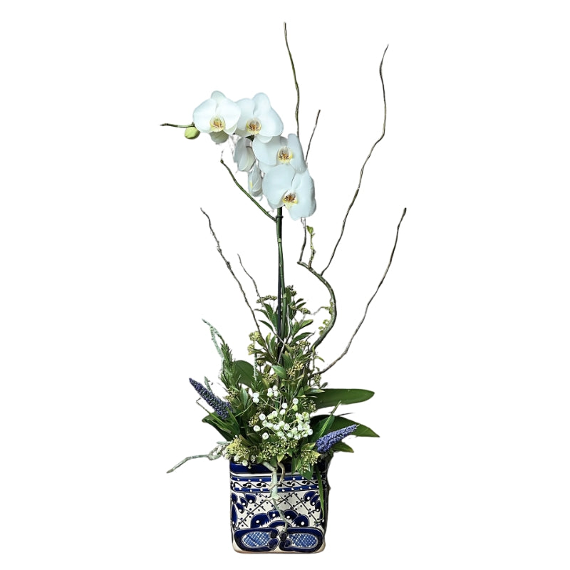 Cubo de talavera con orquidea