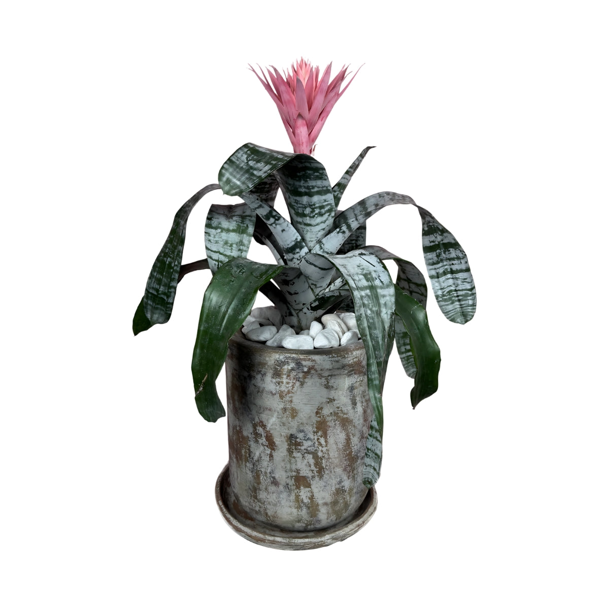 Bromelia en ceramica