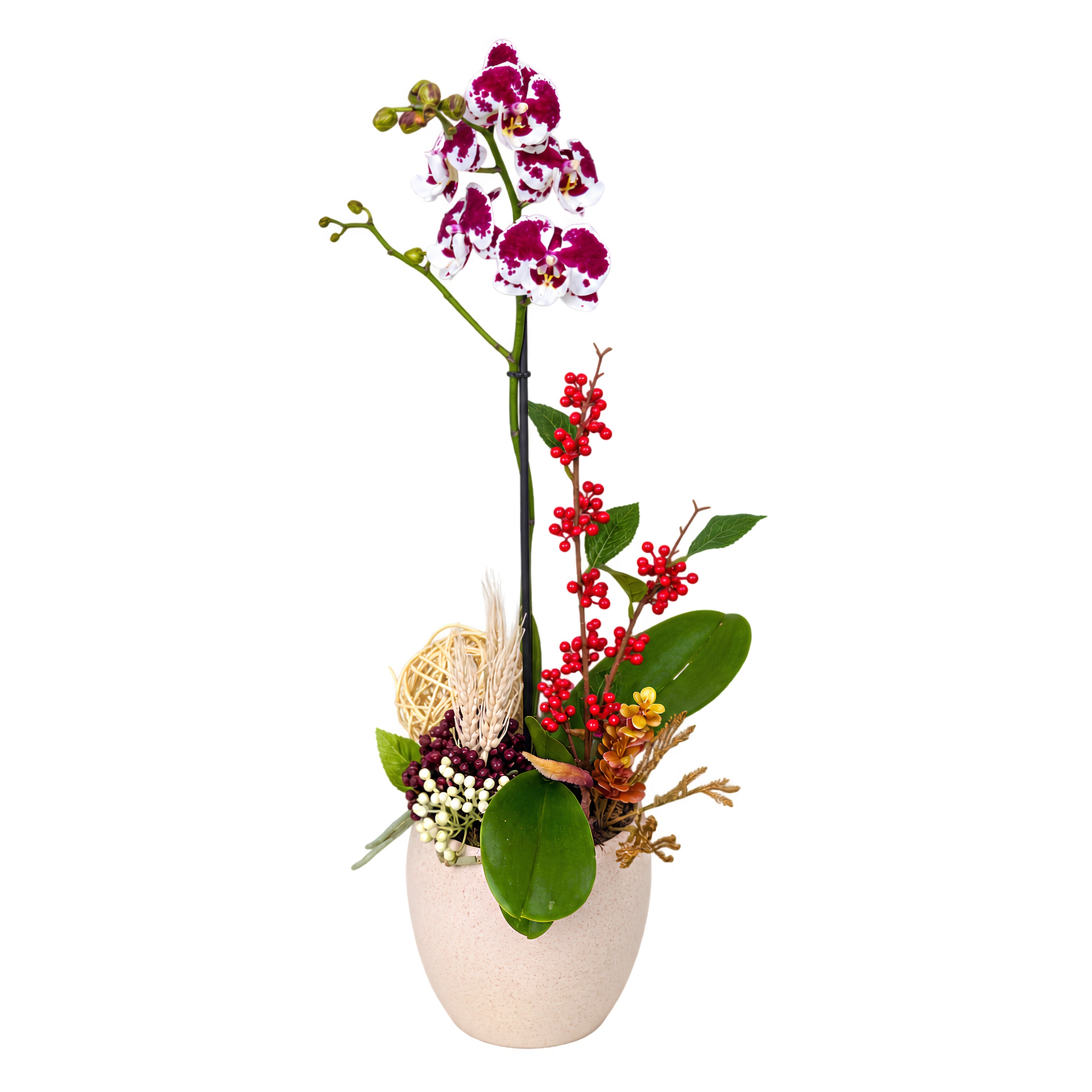 Orquidea ceramica beige