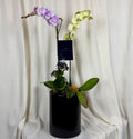 Orquidea doble cilindro grande