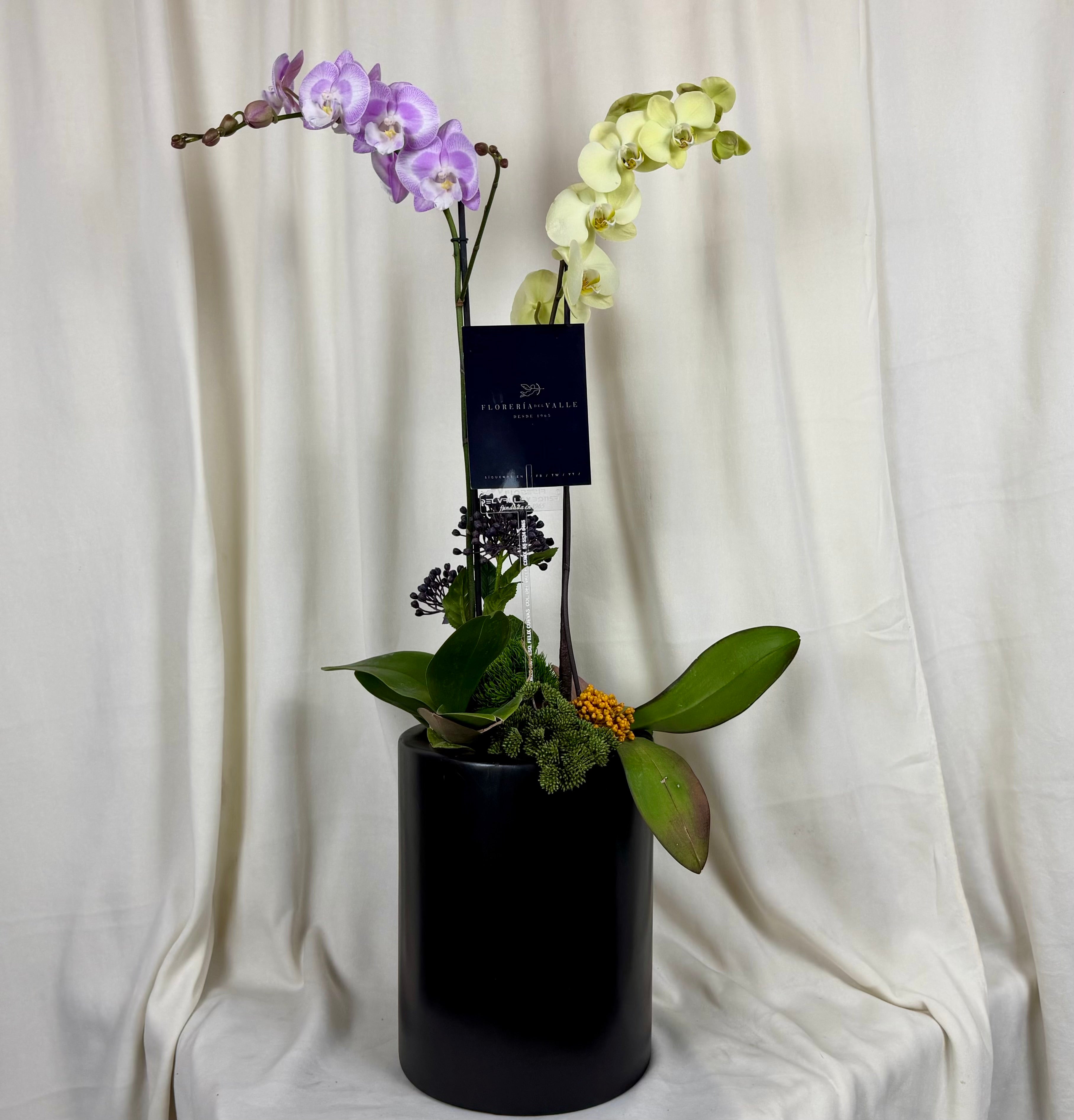 Orquidea doble cilindro grande