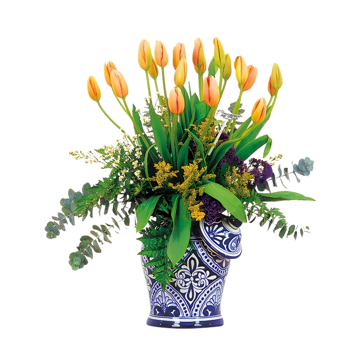 Tibor Talavera con Tulipanes