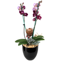 Cerámica negra con orquídea