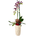 Florero cerámica con orquídea
