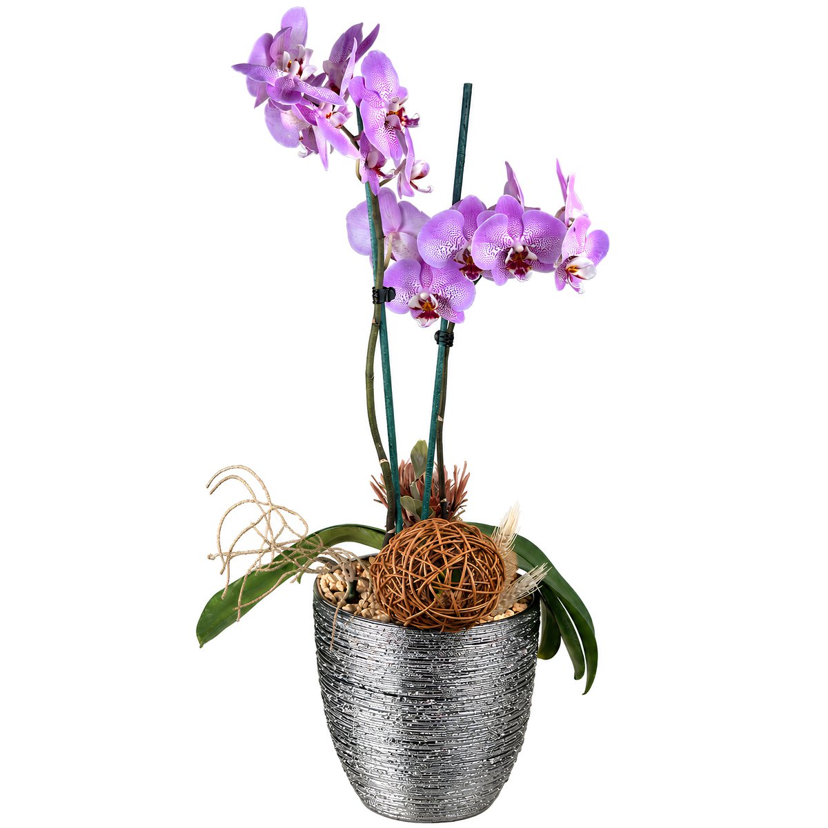 Cerámica plateada con orquídea