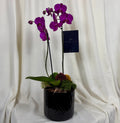 Orquidea cerámica negra mediana