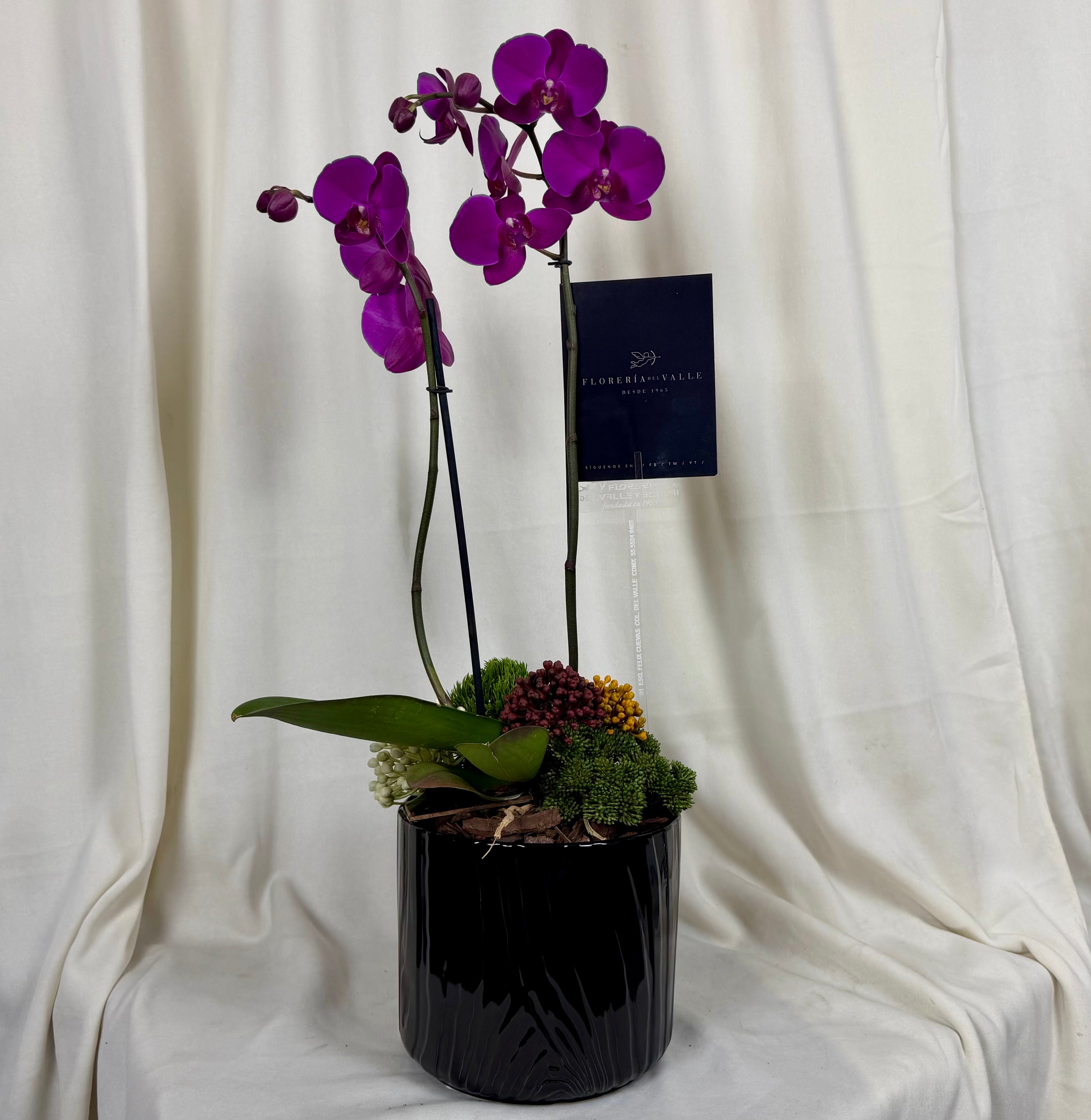 Orquidea cerámica negra mediana