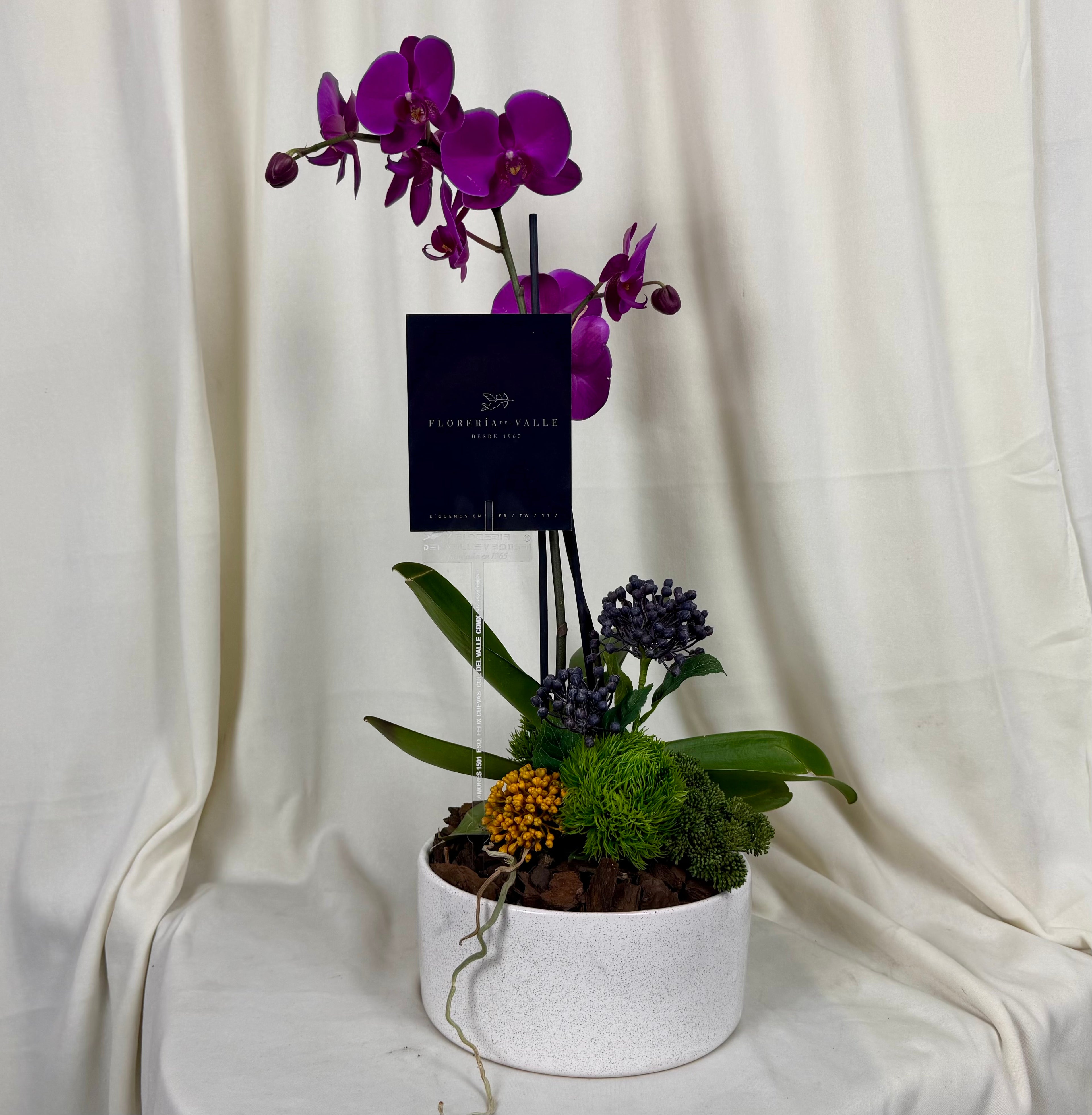 Orquidea cerámica redonda