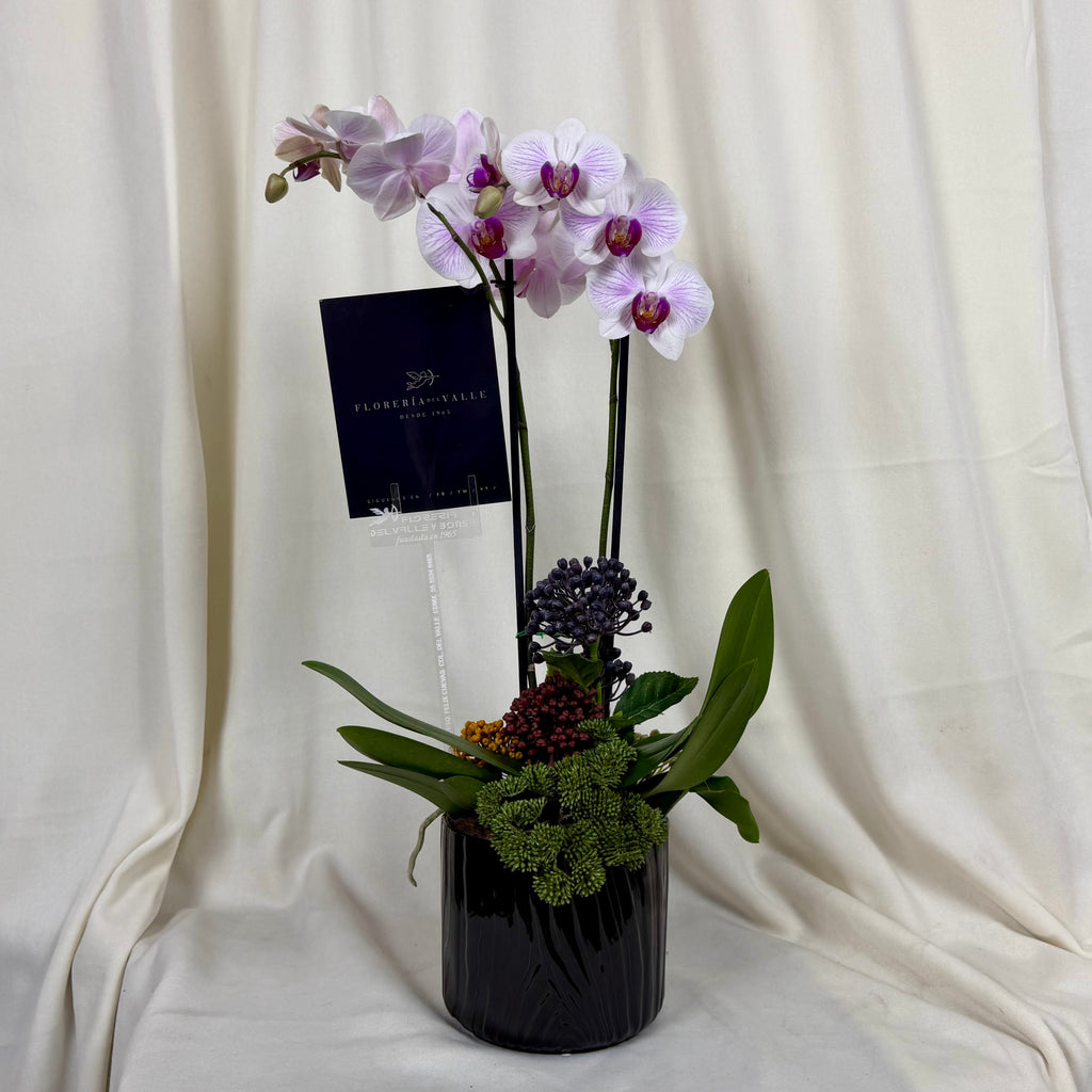 Orquidea cerámica negra