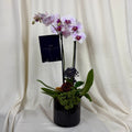 Orquidea cerámica negra