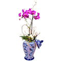 Tibor sirena con orquídea doble