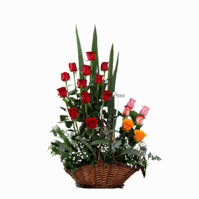 Nueva Canasta de Rosas