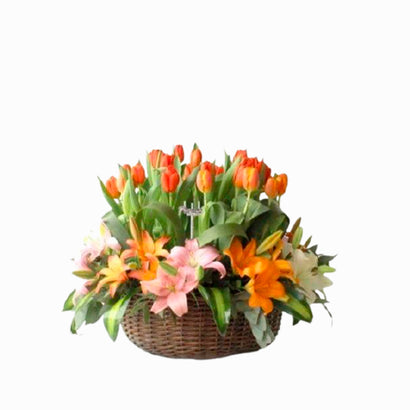 Canasta de Tulipanes y Lilis