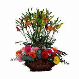 Canasta Primaveral Grande