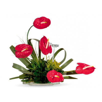 Diseño con Anturios