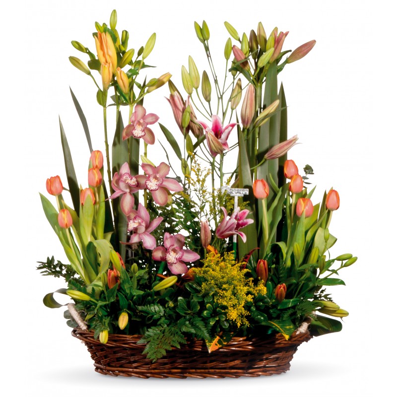Canasta con Orquídeas, Tulipanes y Lilis