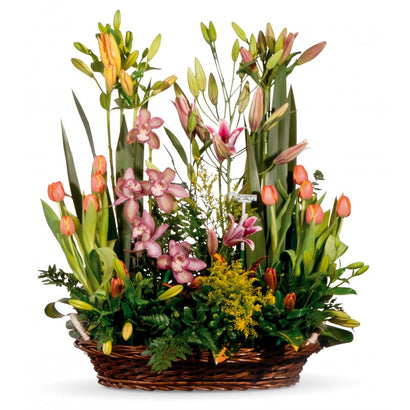 Canasta con Orquídeas, Tulipanes y Lilis