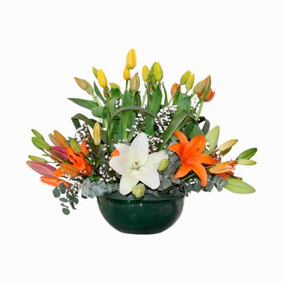 Bowl de Tulipanes y Lilis