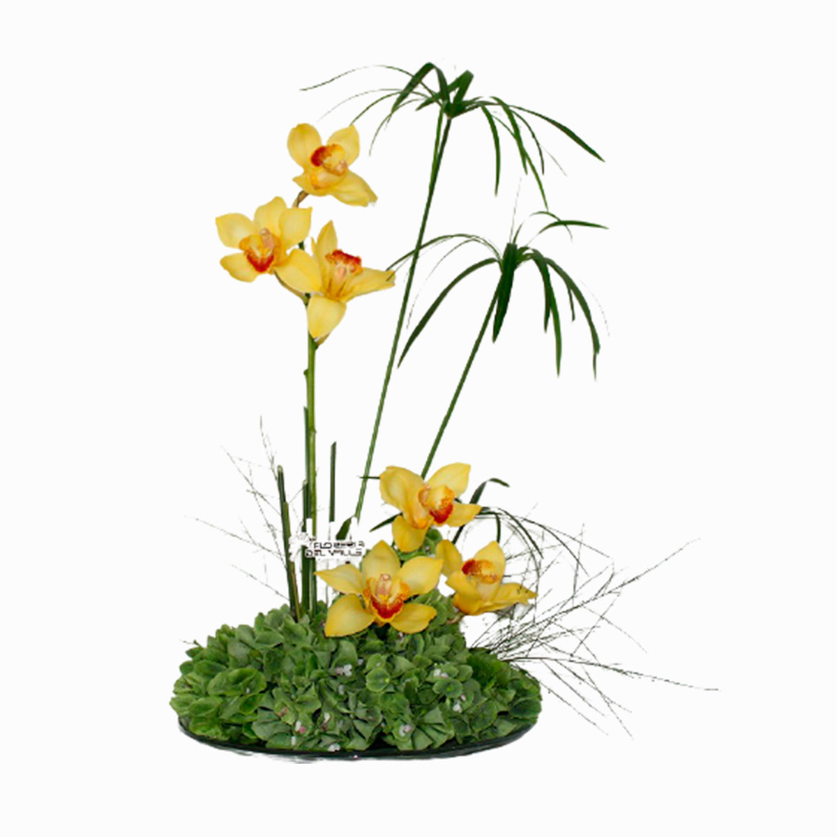 Diseño con Orquídeas Cymbidium