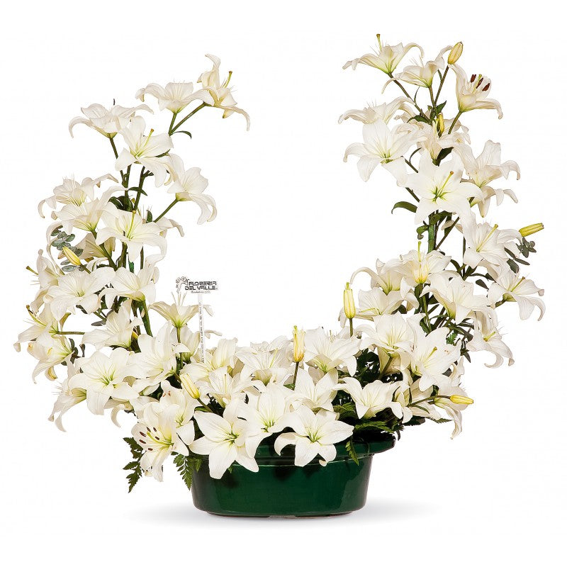 Media Corona de Lilis