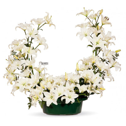 Media Corona de Lilis