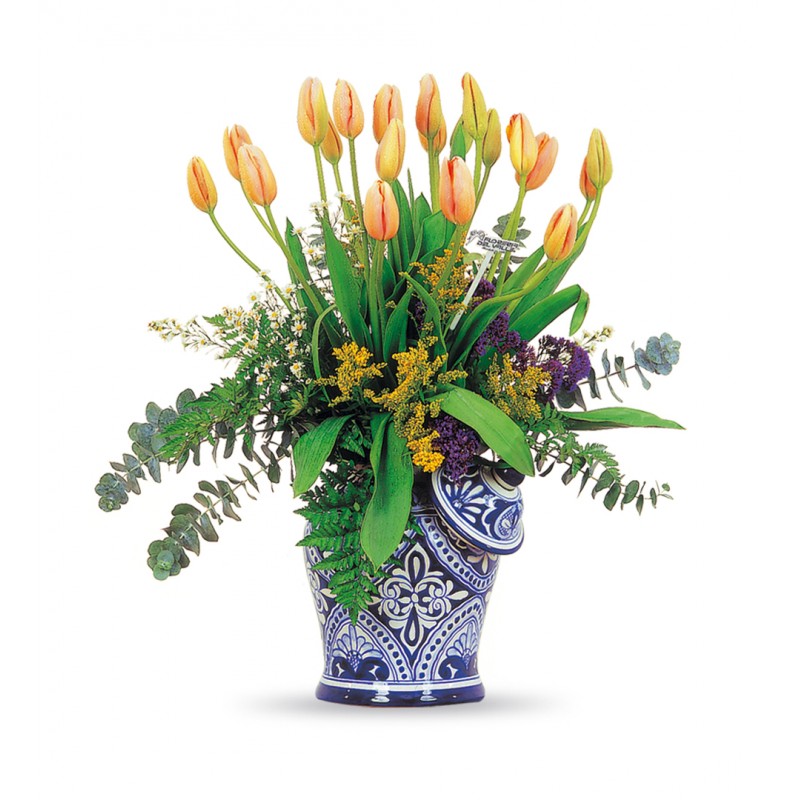 Tibor Talavera con Tulipanes