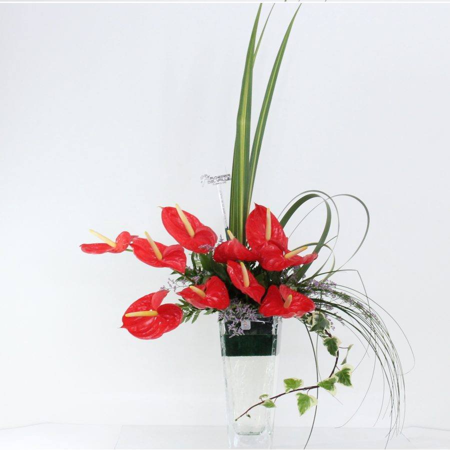 Anturios en Cristal Importado